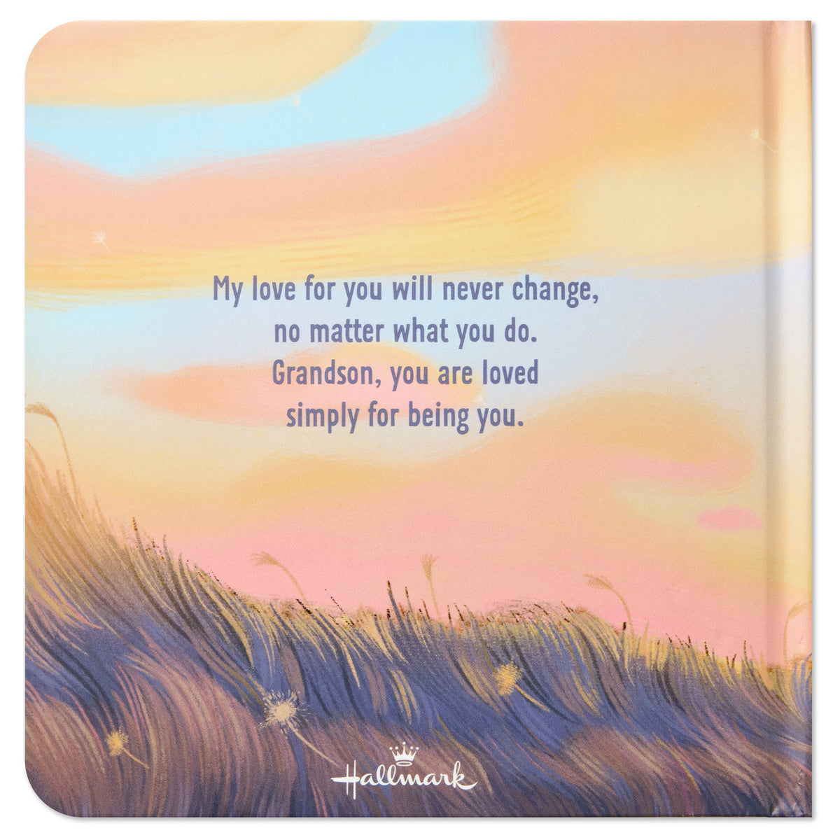 Hallmark Grandson You Are Loved Board Book