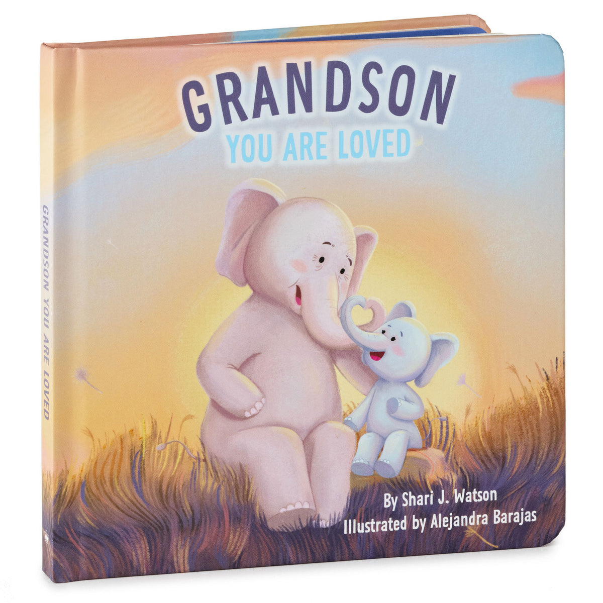 Hallmark Grandson You Are Loved Board Book