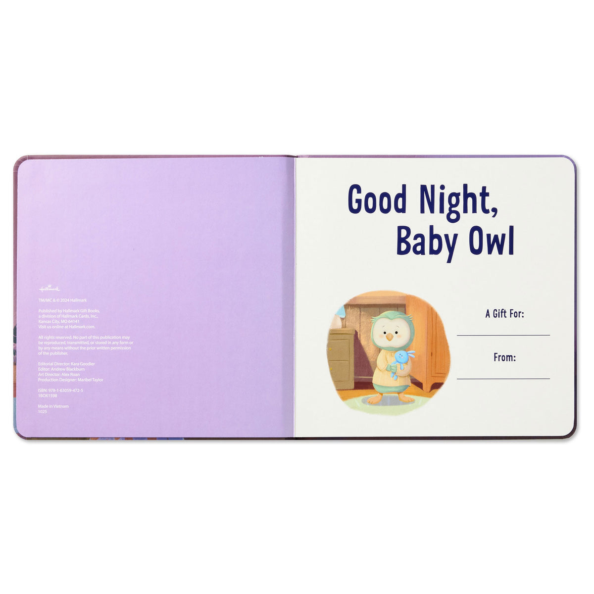 Hallmark Goodnight, Baby Owl Board Book