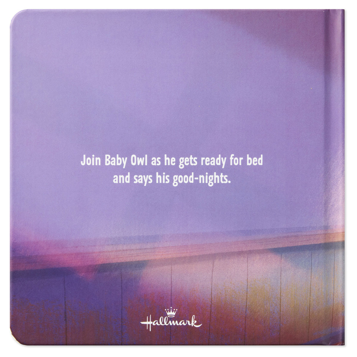 Hallmark Goodnight, Baby Owl Board Book