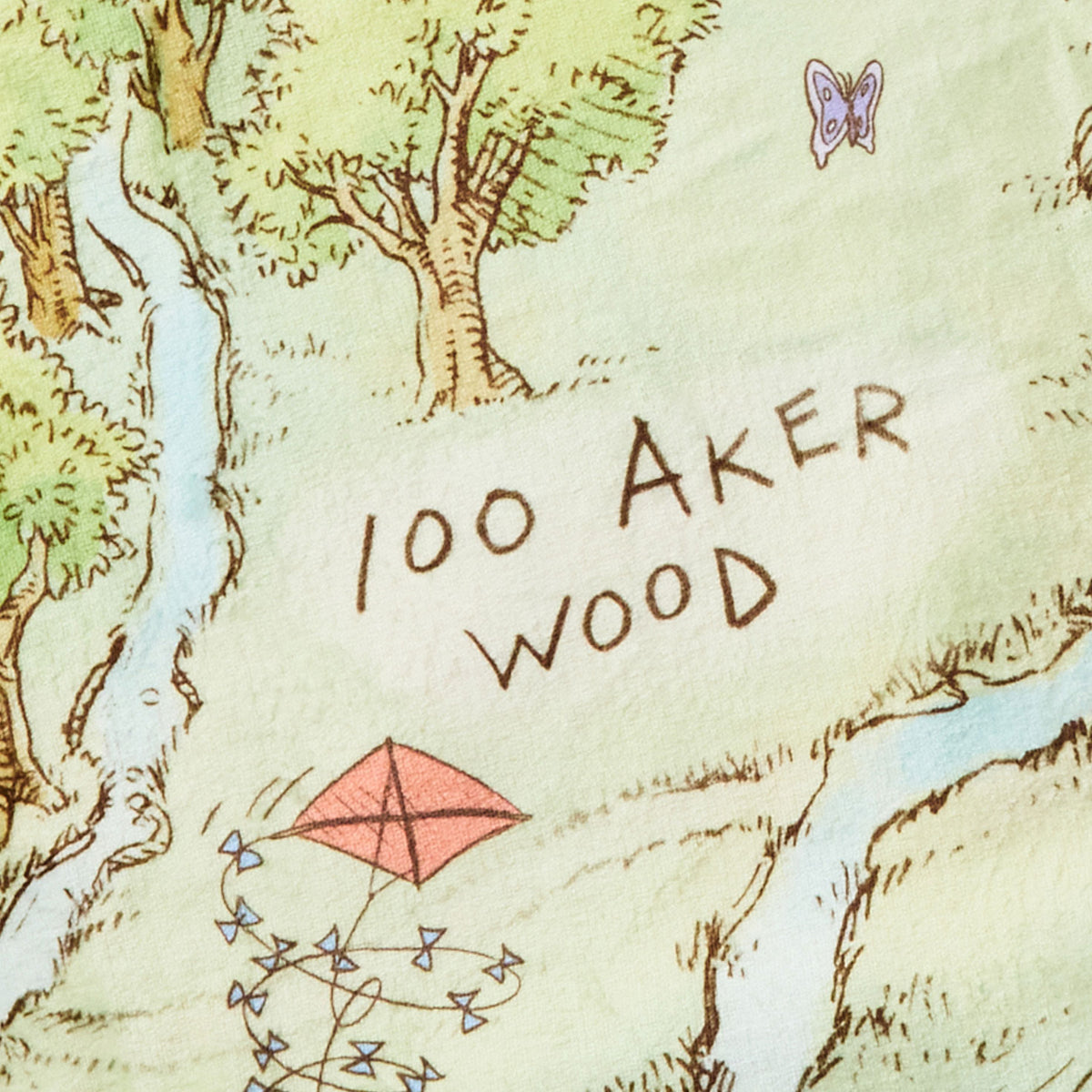 Hallmark Disney Winnie the Pooh Hundred Acre Wood Map Throw Blanket, 60x52