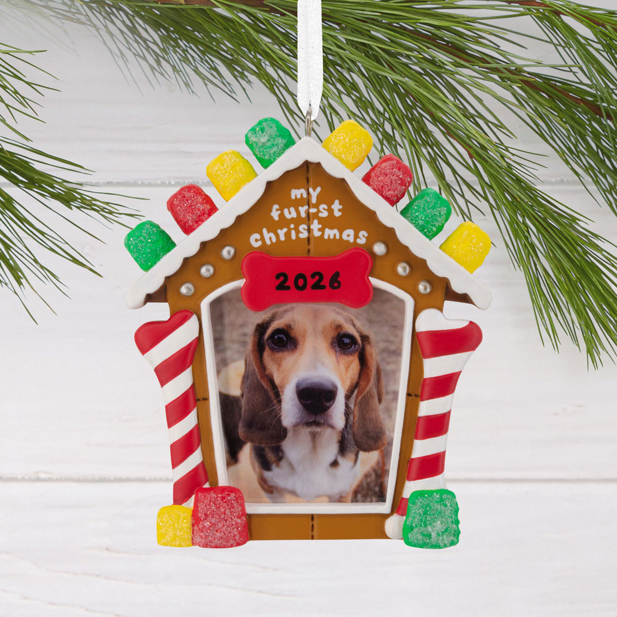 Hallmark My Fur-st Christmas 2026 Photo Frame Hallmark Ornament