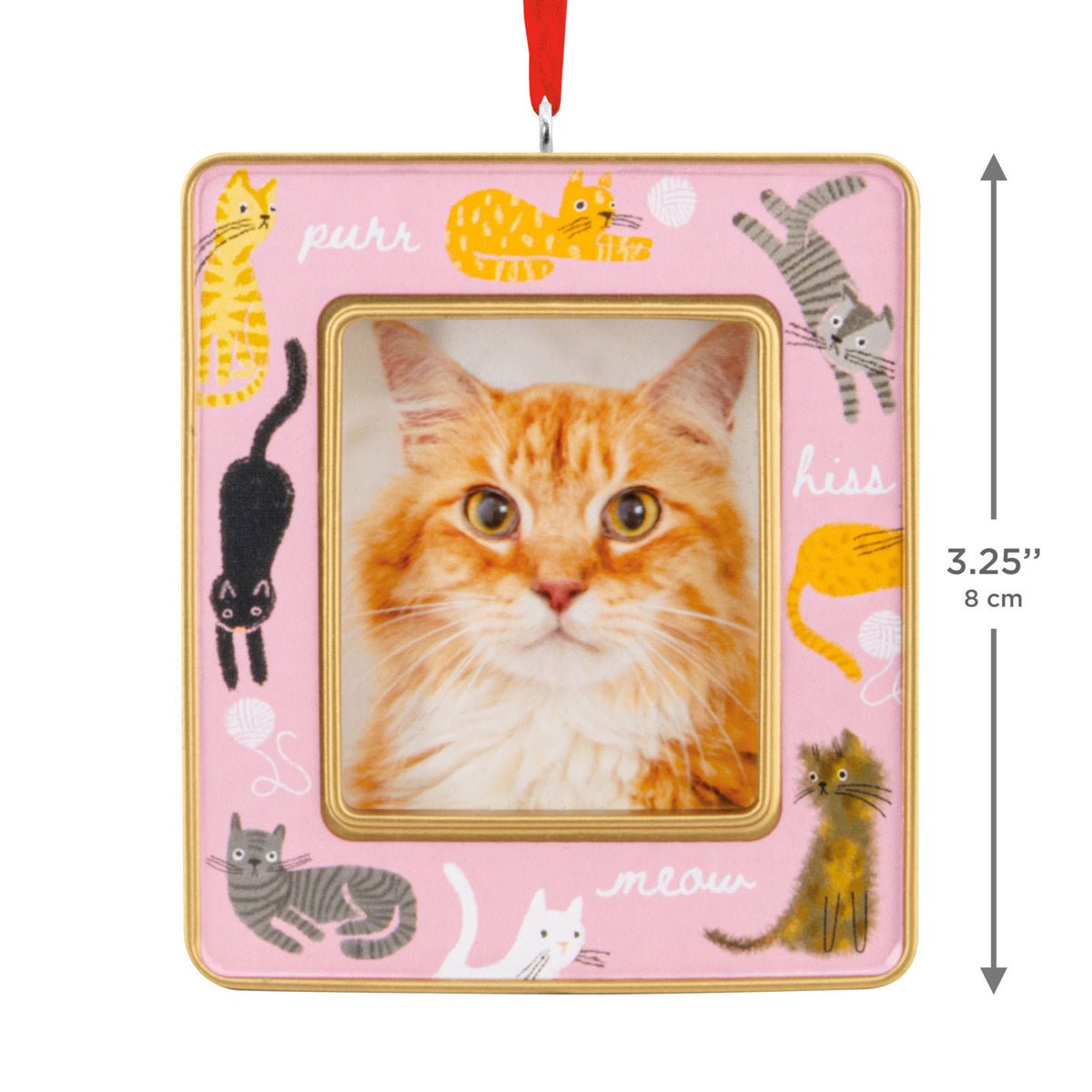 Hallmark Playful Kitties 2026 Photo Frame Hallmark Ornament
