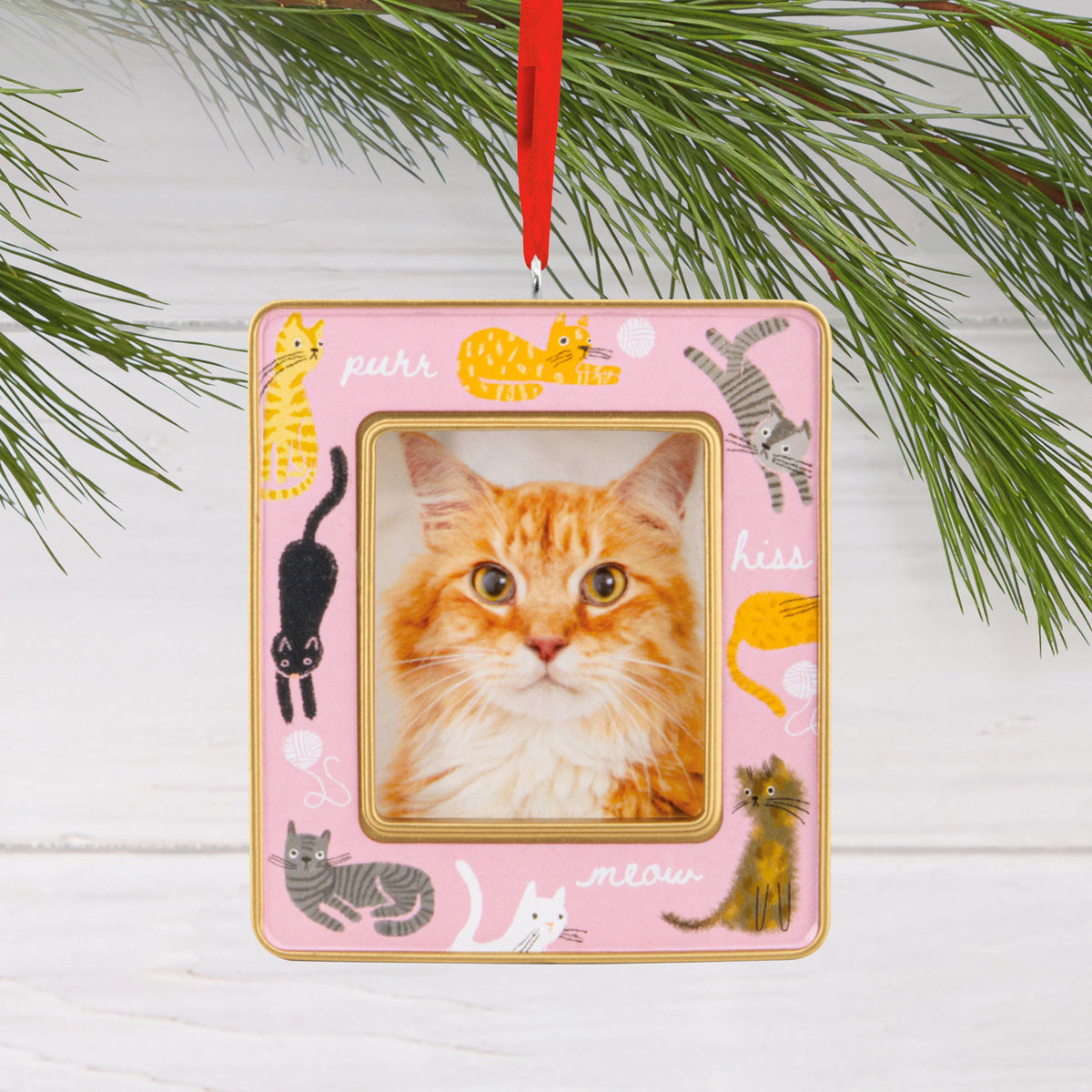 Hallmark Playful Kitties 2026 Photo Frame Hallmark Ornament