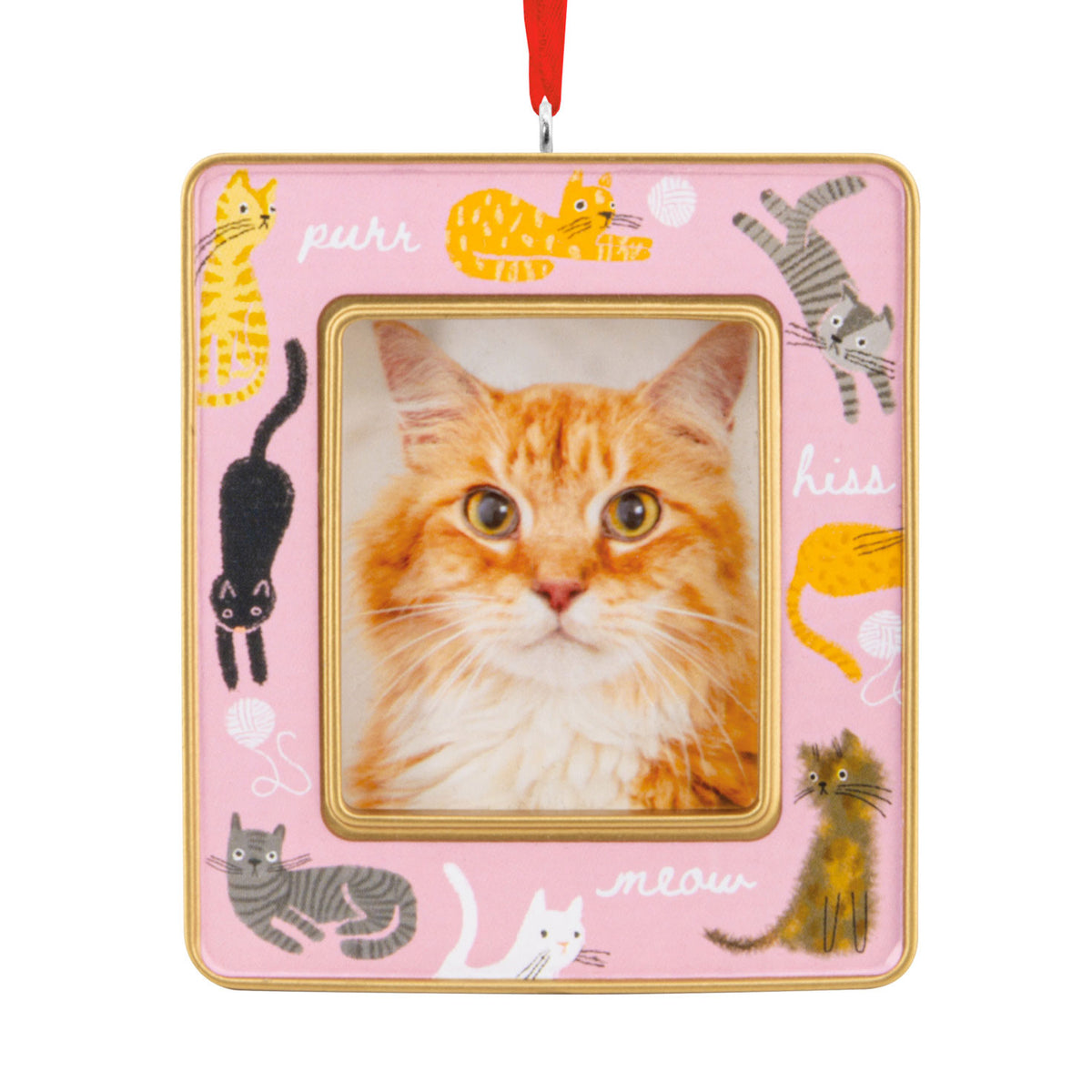 Hallmark Playful Kitties 2026 Photo Frame Hallmark Ornament