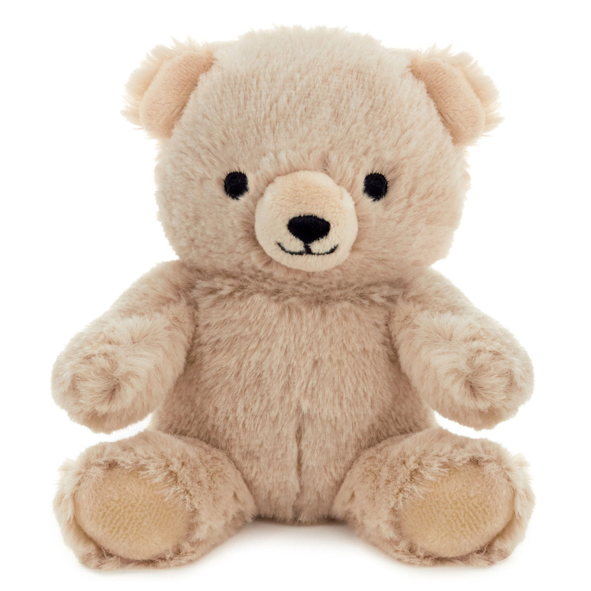 Hallmark Bear Plush Gift Card Holder