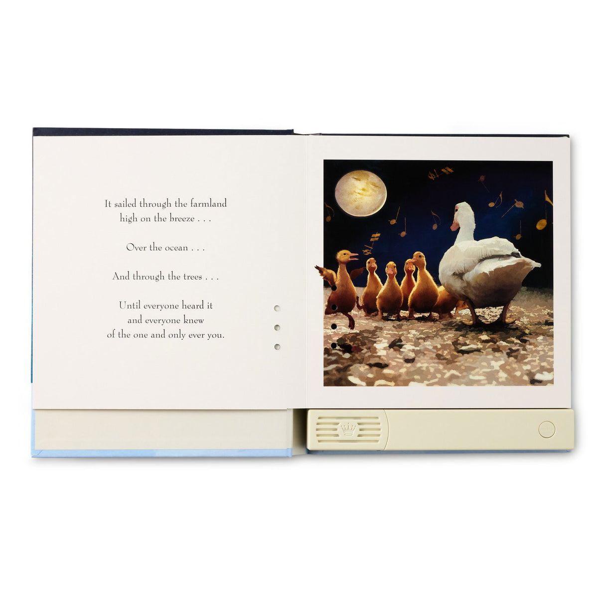 Hallmark On the Night You Were Born Recordable Storybook