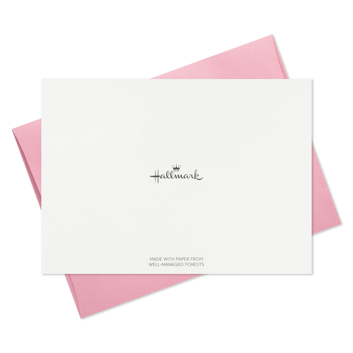 Hallmark You're the Coolest Boxed Blank Note Cards Multipack, Pack of 10