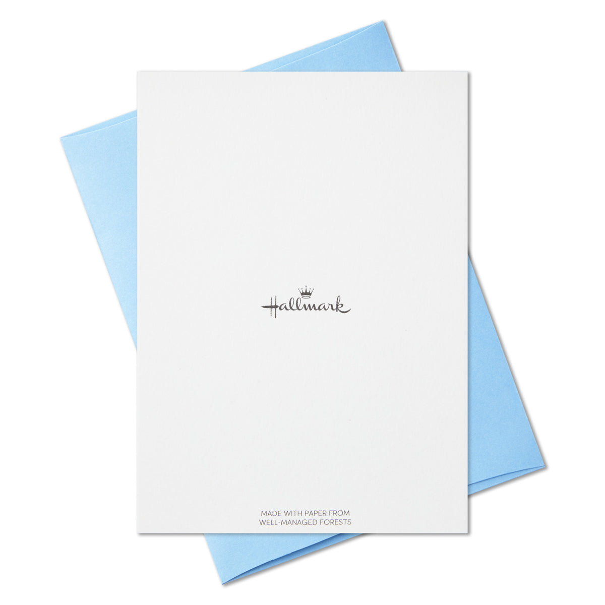 Hallmark You Are Next Level Awesome Boxed Blank Note Cards Multipack, Pack of 10