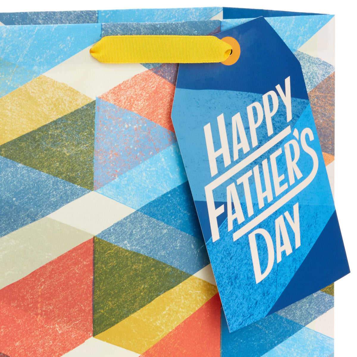 Hallmark 13'' Multicolor Plaid Large Father's Day Gift Bag