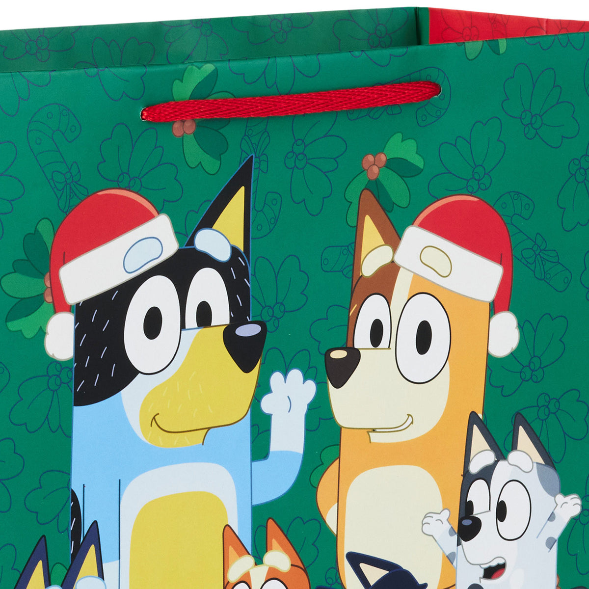 Hallmark 10.4'' Bluey Family on Green Large Christmas Gift Bag