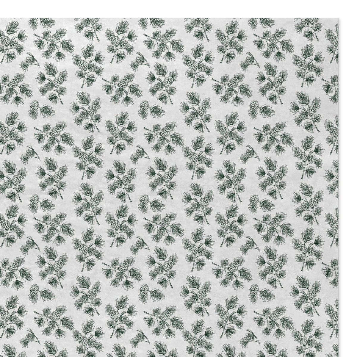 Hallmark Pine-Scented Botanical Illustrations on White Holiday Tissue Paper, 4 sheets