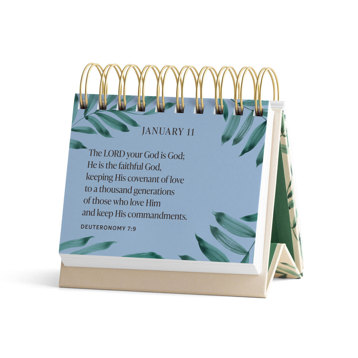 Hallmark Bible Promises for Every Day 365-Day Perpetual Calendar