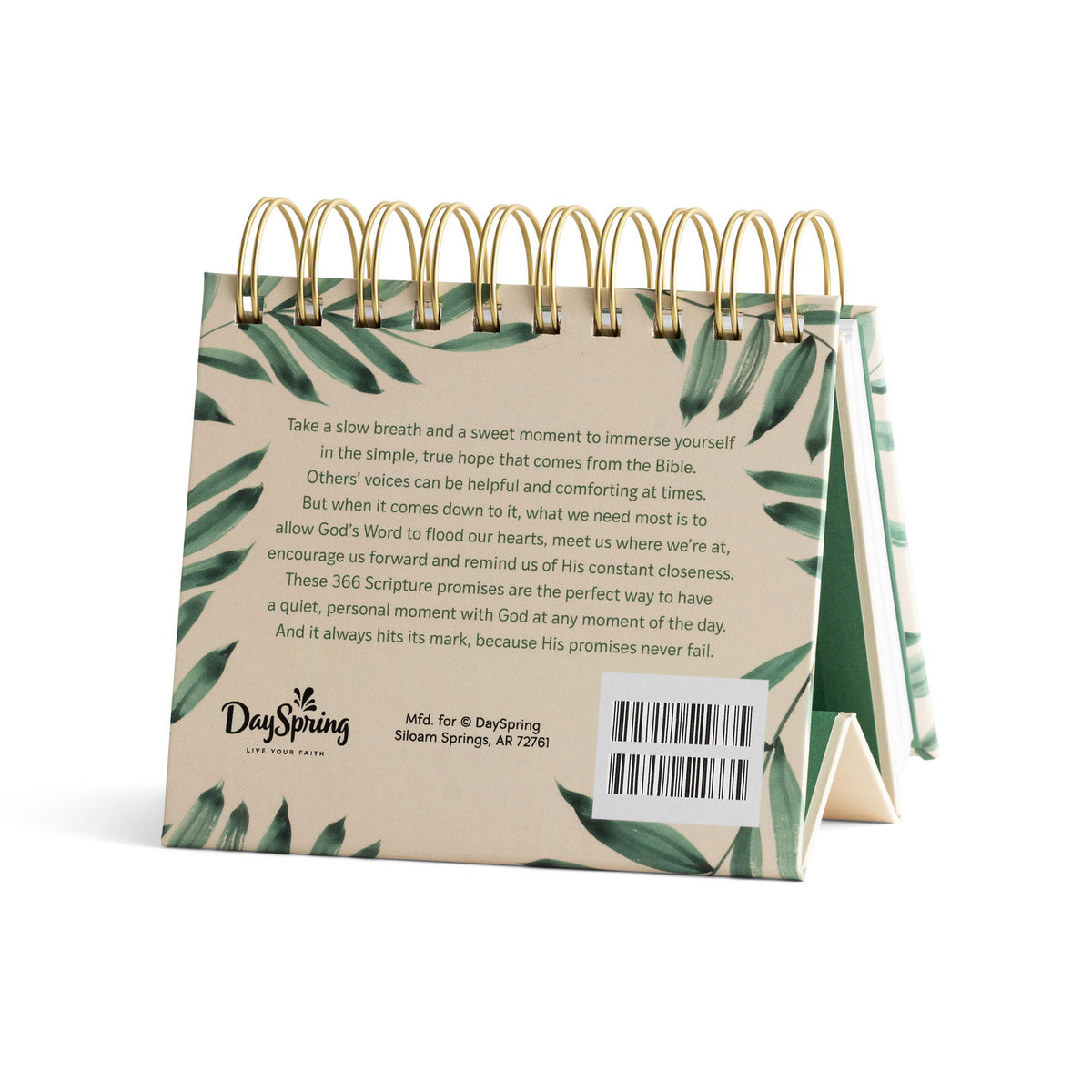 Hallmark Bible Promises for Every Day 365-Day Perpetual Calendar