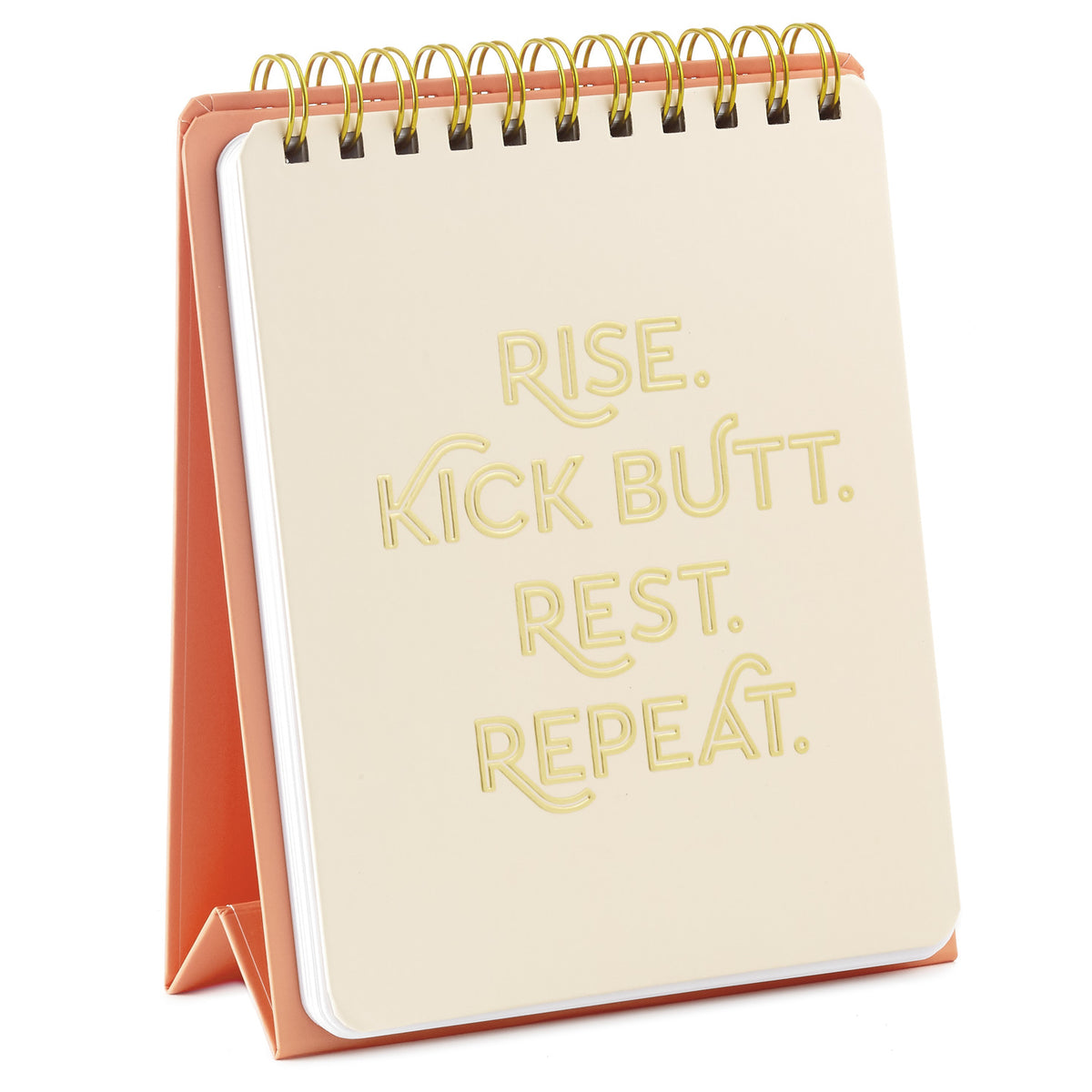Hallmark Kick Butt, Repeat Easel Notebook
