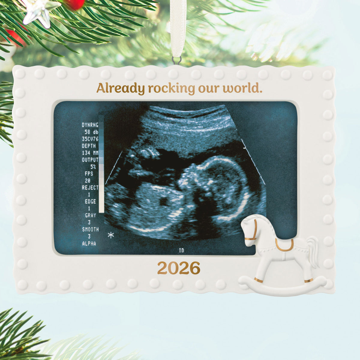 Hallmark Already Rocking Our World 2026 Photo Frame Porcelain Ornament