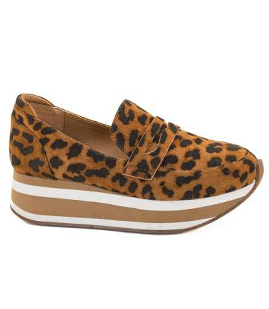 Sheesh in Leopard by Corkys