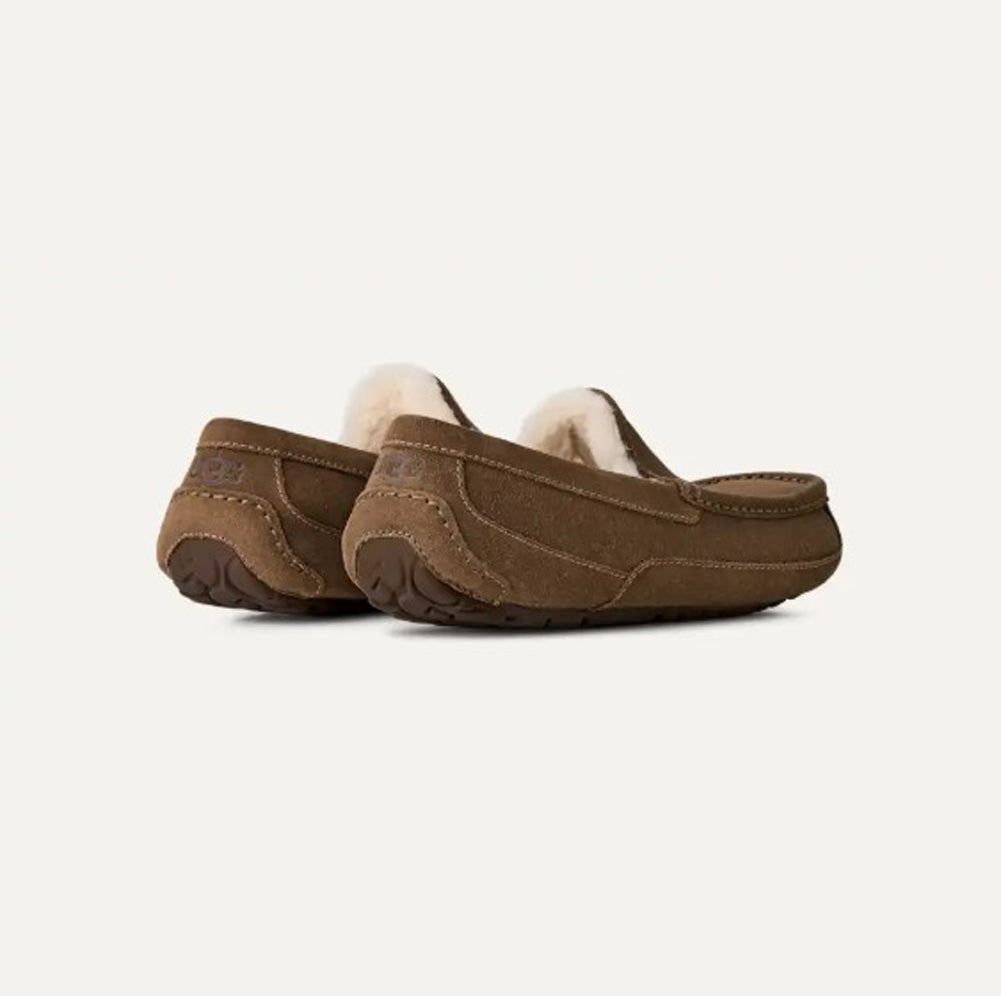 Ascot in Light Bronze by UGG