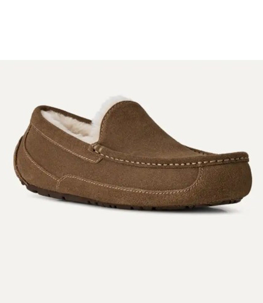 Ascot in Light Bronze by UGG