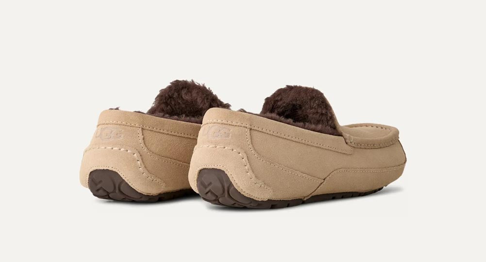 Ascot in Mustard Seed/Molasses by UGG