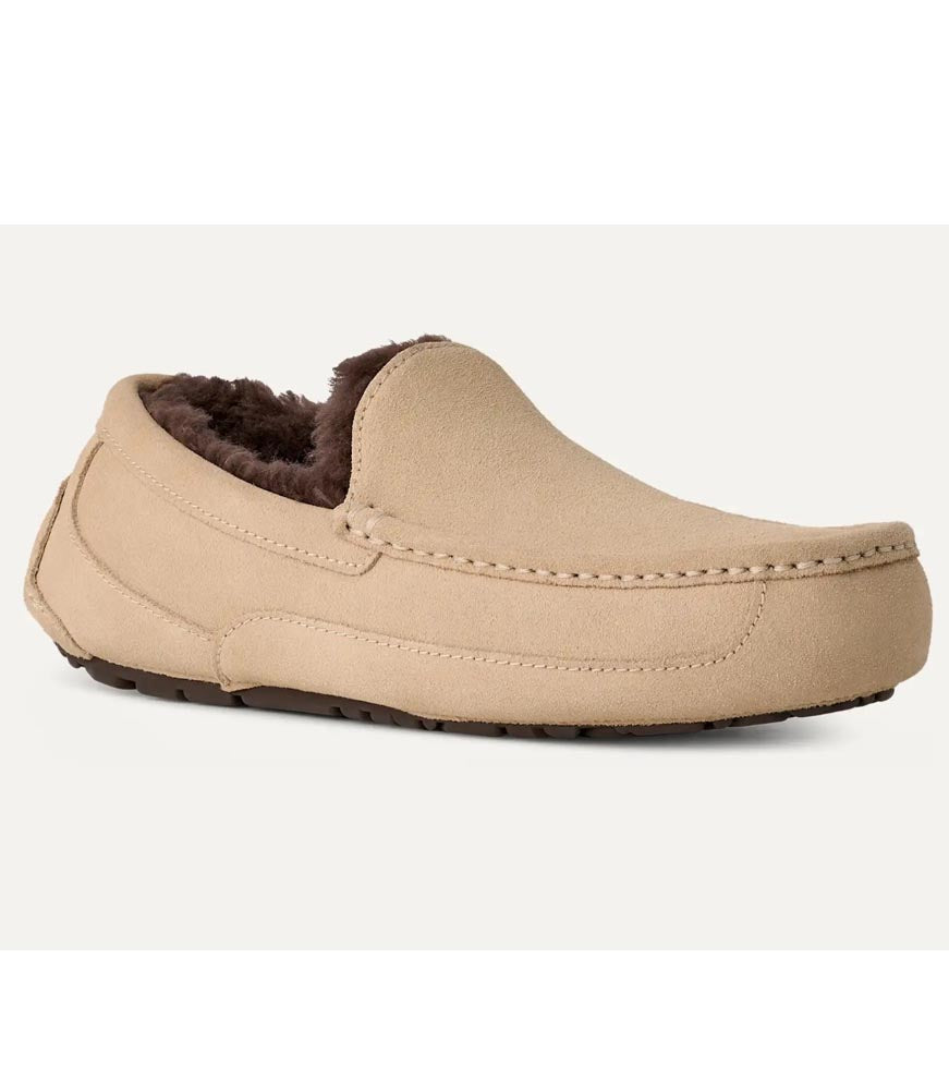 Ascot in Mustard Seed/Molasses by UGG