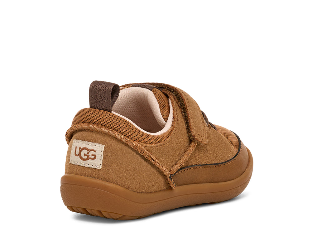 Adventurer Sneaker in Chestnut by UGG