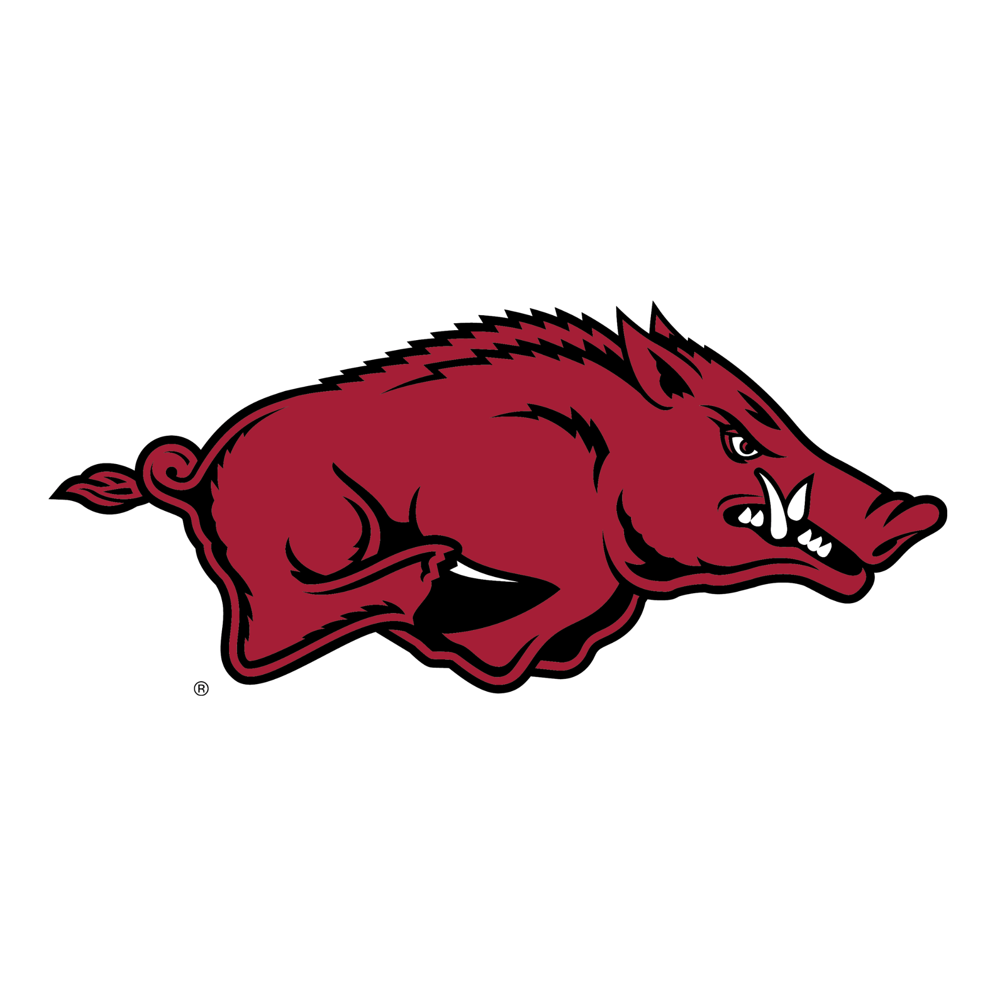 Arkansas Razorbacks