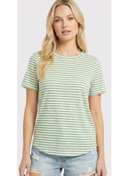 Basic Cotton Striped Crew Neck in Green by Staccato
