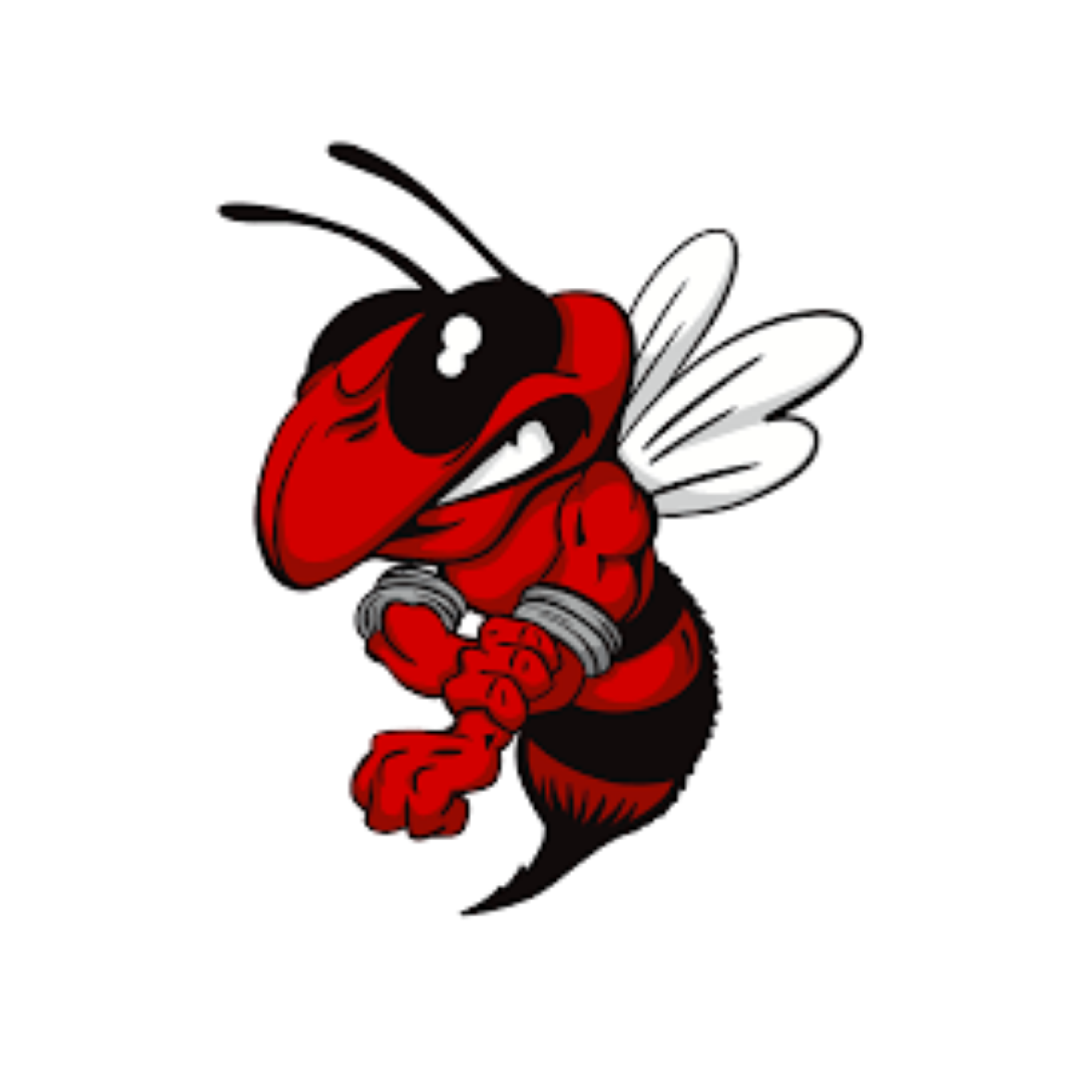 Blevins Hornets