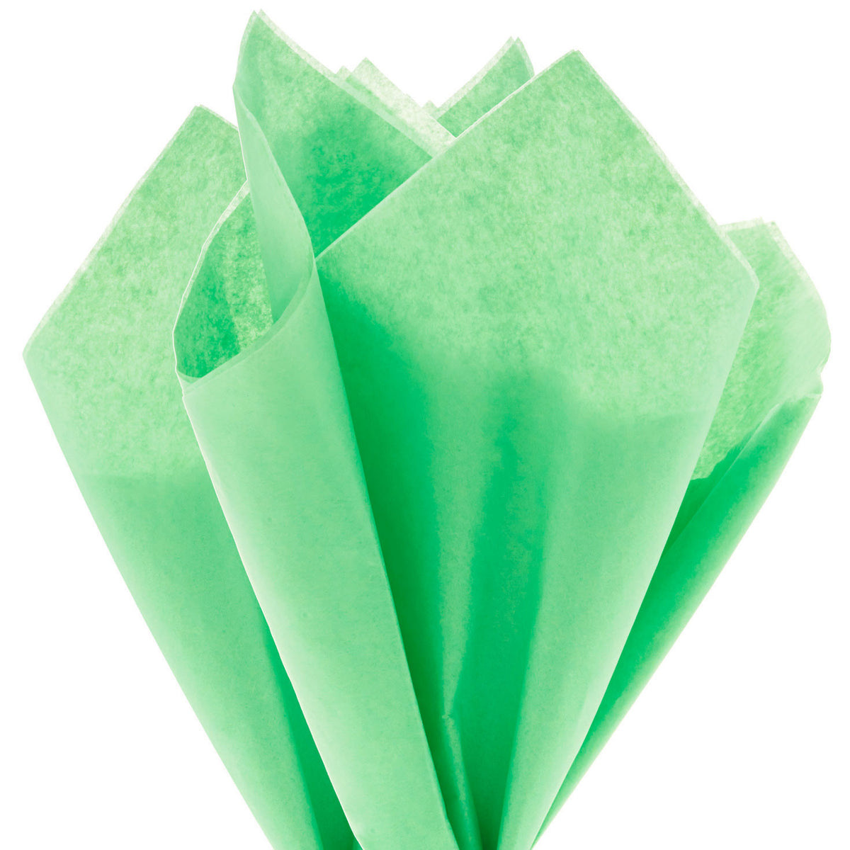 Hallmark Apple Green Tissue Paper, 8 sheets