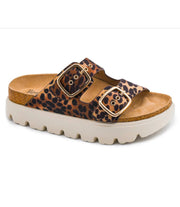 Rumor Has It in Leopard 2 by Corkys
