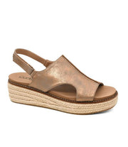 Ready or Not in Bronze Metallic by Corkys