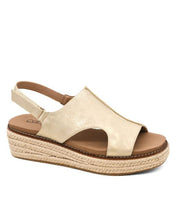 Ready or Not in Gold Metallic by Corkys