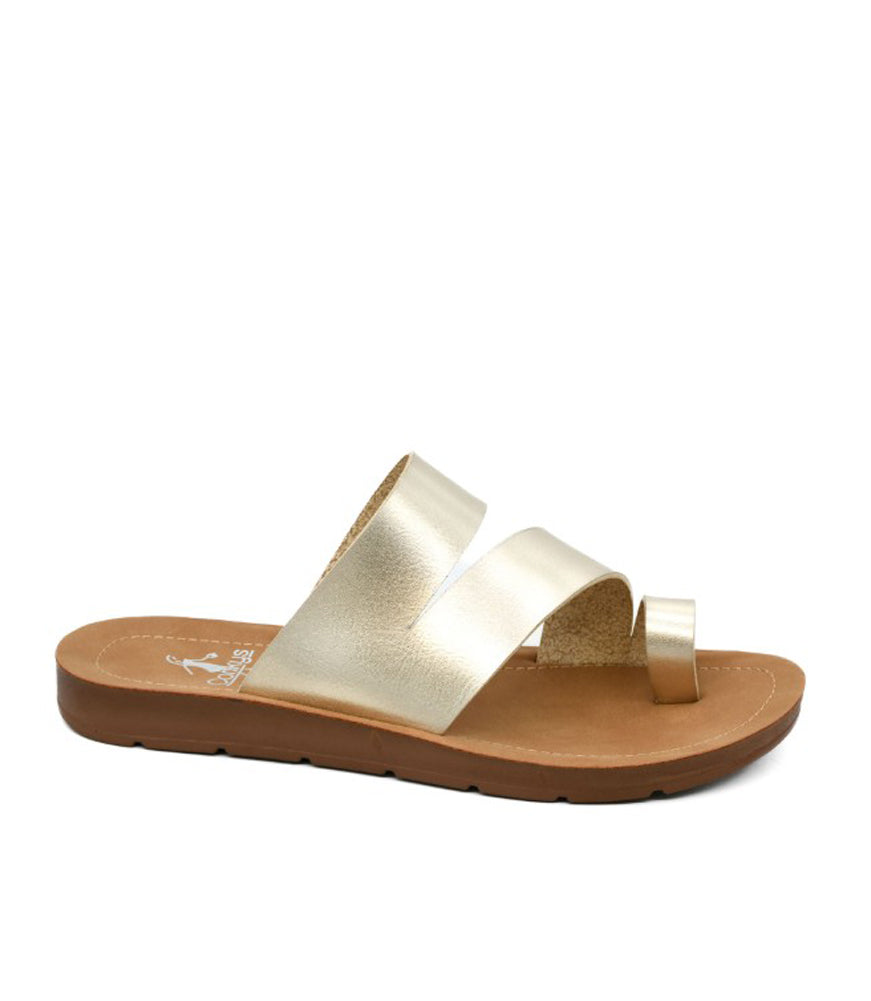 Just A Fling in Gold by Corkys