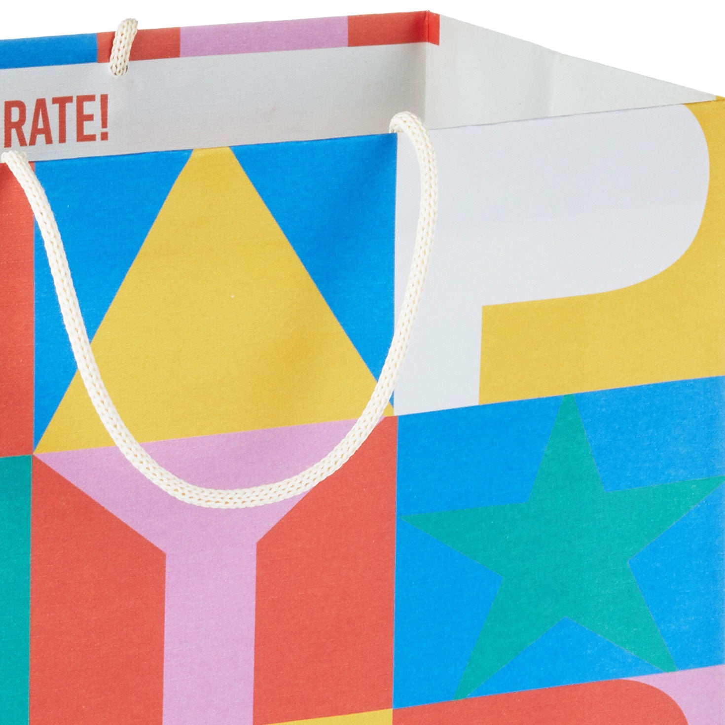 Hallmark 13'' Color Block Large Birthday Gift Bag