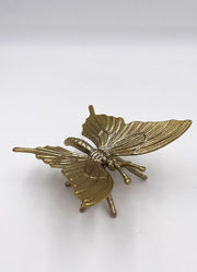 Small Butterfly Décor by Twos Company