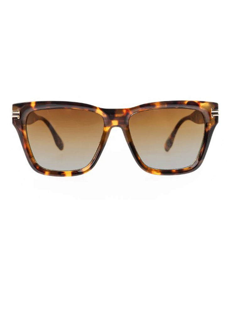 Jordan Brown Tortoise Sunglasses by Mary Square