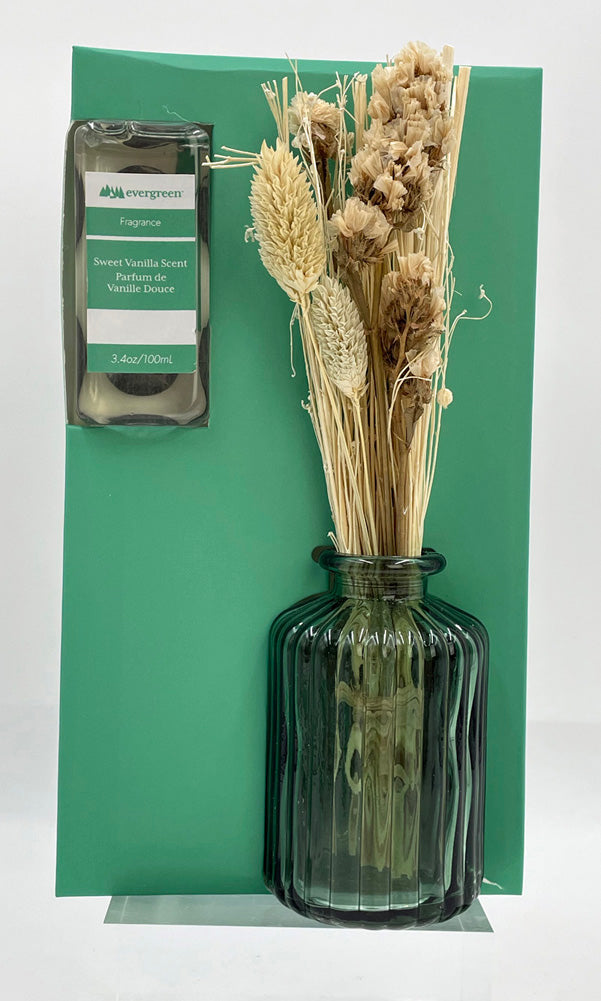 Glass Fragrance Diffuser with Dried Floral by Evergreen