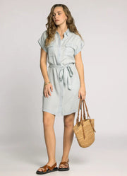 Oaklee Dress in Denim Blue Stripe
