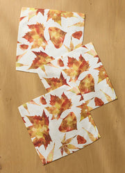 Painted Fall Dishcloth Set by Geometry