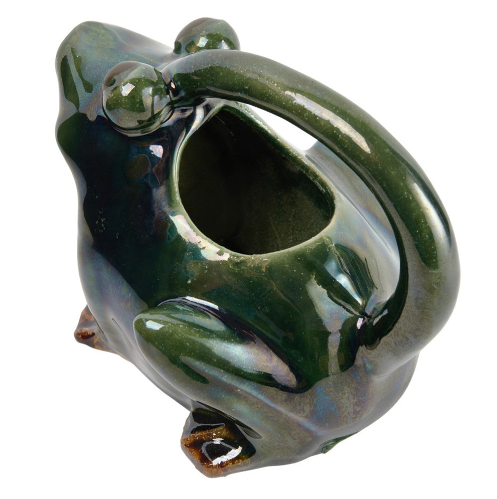 Stoneware Frog Watering Pitcher by Creative Co-op
