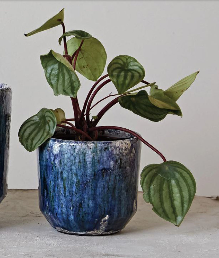 Round Navy Terracotta Planter by Creative Co-op