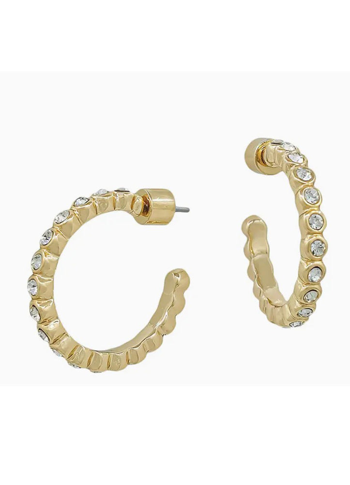 Gold Crystal Stud Earrings by Whats Hot