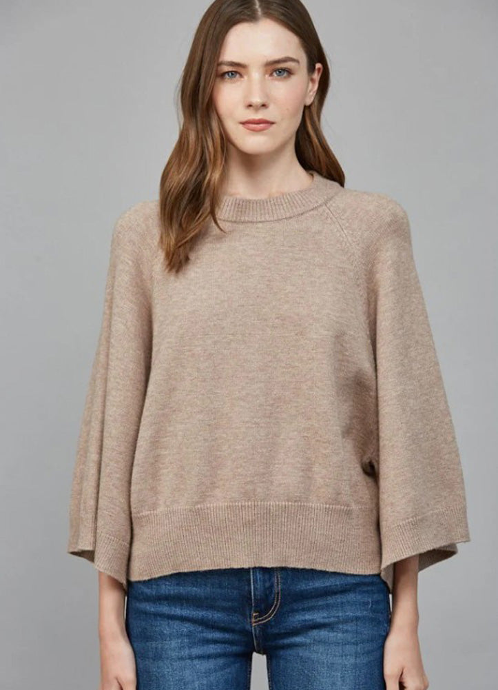 Raglan Sleeve Short Wide Sleeve Crew Neck Sweater in Taupe by Fate by LFD