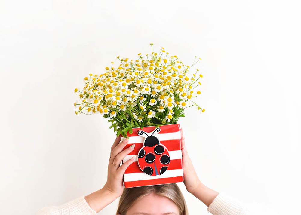 Red Stripe Mini Nesting Cube Md by Happy Everything