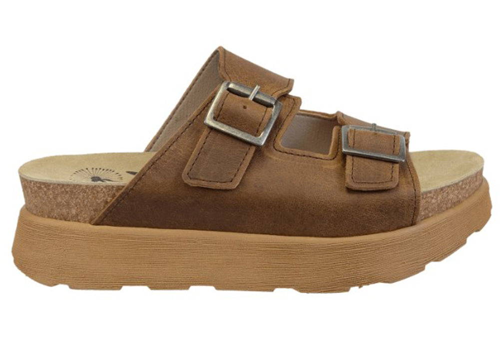 Modulink in Brown by OTBT