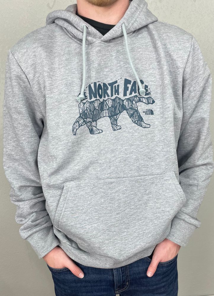 Men's Evolution TNF Bear Hoodie in TNF Pale Grey Heather by The North Face