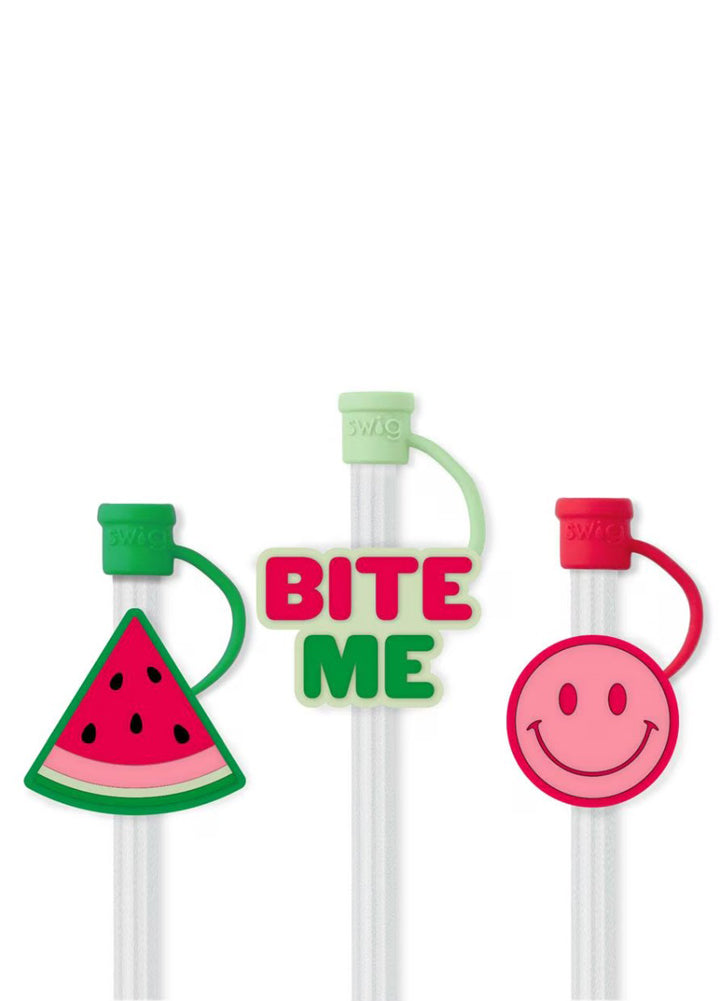 Melon Slice Straw Topper Set by Swig Life