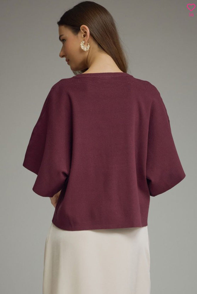 Short Sleeve Knit Top in Merlot by Entro Inc