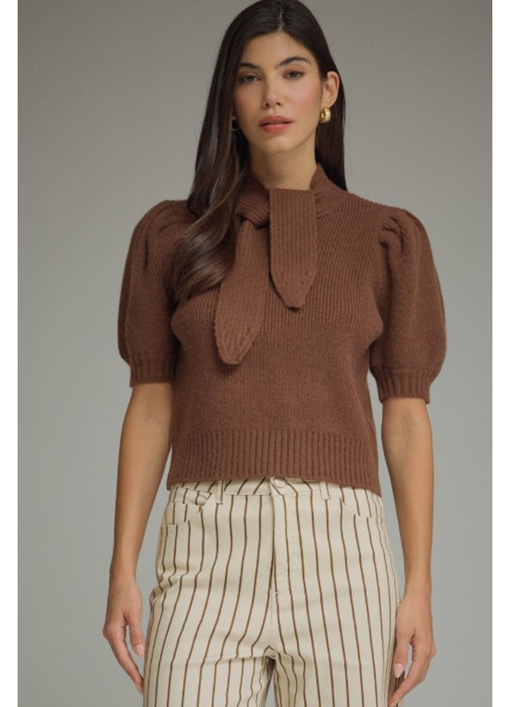 Short Puff Sleeve Sweater Mock Neck Tie Top in Brown by Entro